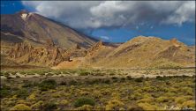 teneriffa 2011 - img_9407.jpg